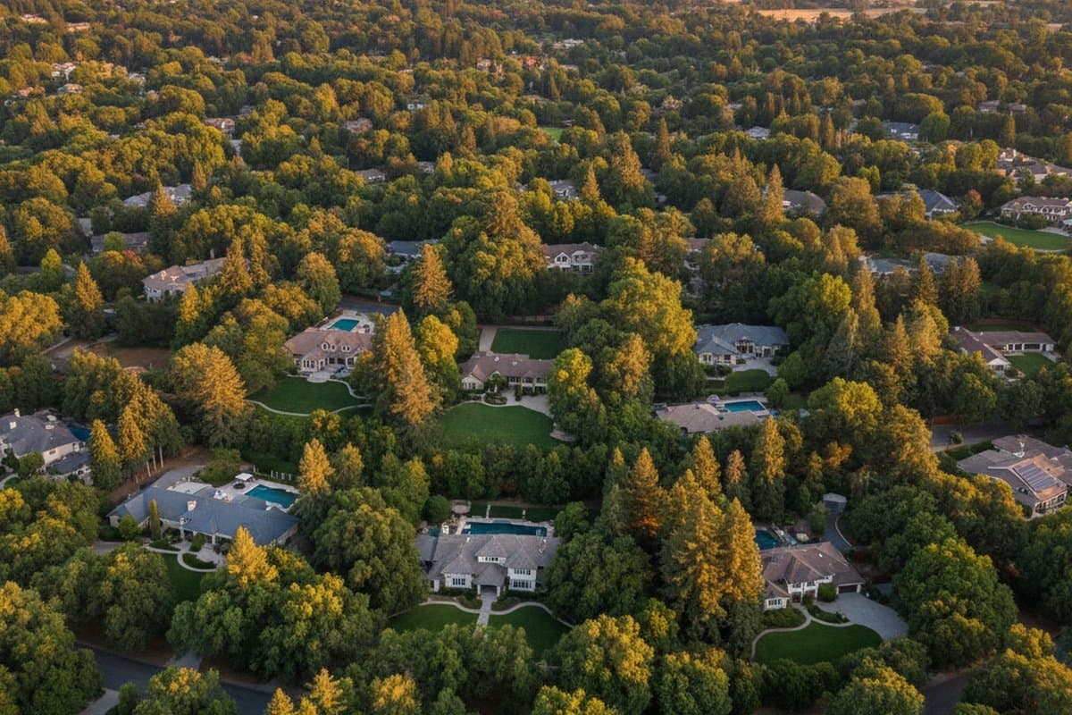 Los Altos aerial view of tree-covered residential neighborhood